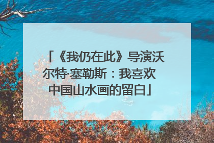 《我仍在此》导演沃尔特·塞勒斯：我喜欢中国山水画的留白