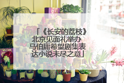 《长安的荔枝》北京见面礼举办 马伯庸希望剧集表达小说未尽之意