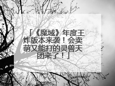 《魔域》年度王炸版本来袭！会卖萌又能打的灵兽天团来了！