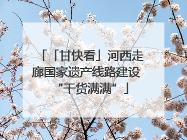 「甘快看」河西走廊国家遗产线路建设“干货满满”