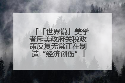 「世界说」美学者斥美政府关税政策反复无常正在制造“经济创伤”