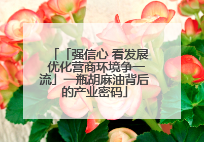 「强信心 看发展 优化营商环境争一流」一瓶胡麻油背后的产业密码