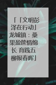 「文明彭泽在行动」龙城镇：桑果盈筐情绵长 育践五柳报春晖