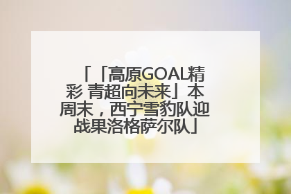 「高原GOAL精彩 青超向未来」本周末，西宁雪豹队迎战果洛格萨尔队