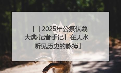 「2025年公祭伏羲大典·记者手记」在天水 听见历史的脉搏