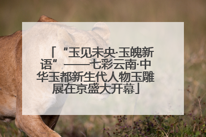 “玉见未央·玉魄新语”——七彩云南·中华玉都新生代人物玉雕展在京盛大开幕
