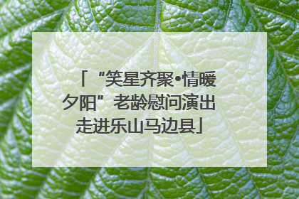 “笑星齐聚•情暖夕阳”老龄慰问演出走进乐山马边县