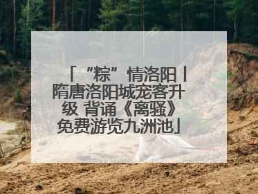 “粽”情洛阳丨隋唐洛阳城宠客升级 背诵《离骚》免费游览九洲池