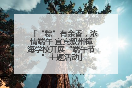 “粽”有余香，浓情端午 宜宾叙州樟海学校开展“端午节”主题活动