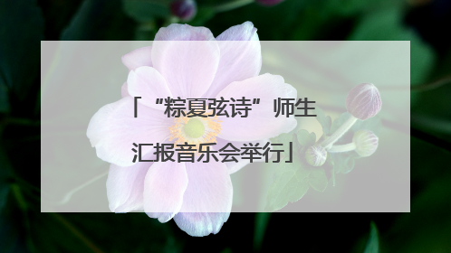 “粽夏弦诗”师生汇报音乐会举行