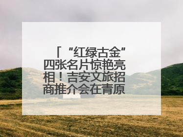 “红绿古金”四张名片惊艳亮相！吉安文旅招商推介会在青原区举行(图)