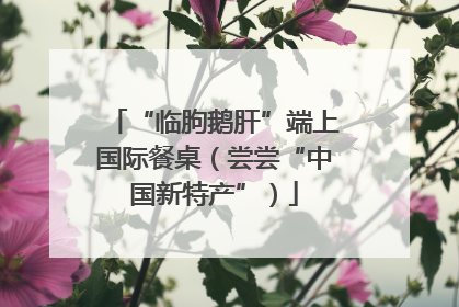 “临朐鹅肝”端上国际餐桌（尝尝“中国新特产”）