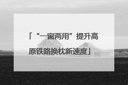 “一窗两用”提升高原铁路换枕新速度