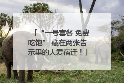 “一号套餐 免费吃饱” 藏在两张告示里的大爱宿迁！