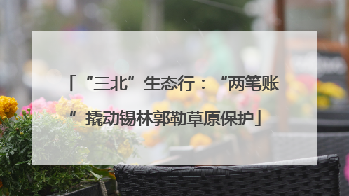 “三北”生态行：“两笔账”撬动锡林郭勒草原保护