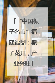 “中国栀子名市”福建福鼎：栀子花开，产业兴旺