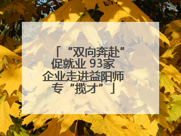“双向奔赴”促就业 93家企业走进益阳师专“揽才”
