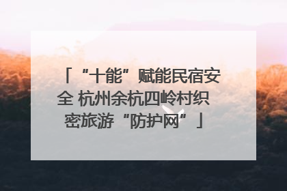 “十能”赋能民宿安全 杭州余杭四岭村织密旅游“防护网”