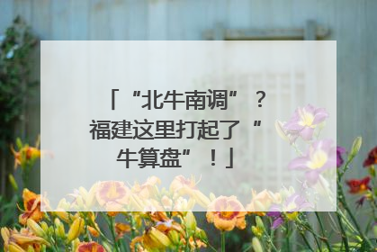 “北牛南调”？福建这里打起了“牛算盘”！