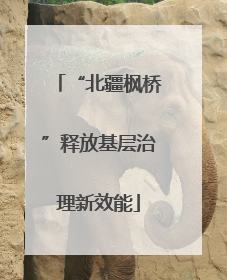 “北疆枫桥”释放基层治理新效能
