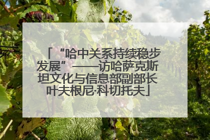 “哈中关系持续稳步发展”——访哈萨克斯坦文化与信息部副部长叶夫根尼·科切托夫