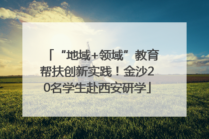 “地域+领域”教育帮扶创新实践！金沙20名学生赴西安研学