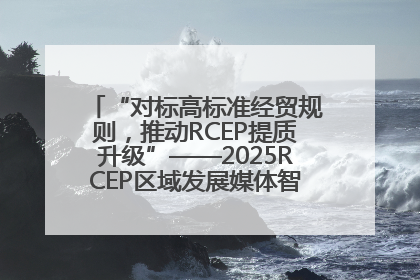 “对标高标准经贸规则，推动RCEP提质升级”——2025RCEP区域发展媒体智库论坛举行专题对话