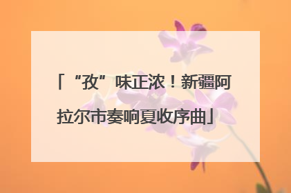 “孜”味正浓！新疆阿拉尔市奏响夏收序曲