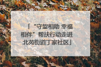 “守望相助 幸福相伴”帮扶行动走进北苑街道丁家社区