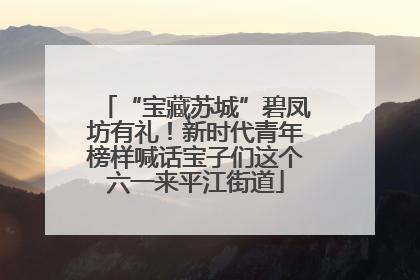 “宝藏苏城”碧凤坊有礼！新时代青年榜样喊话宝子们这个六一来平江街道