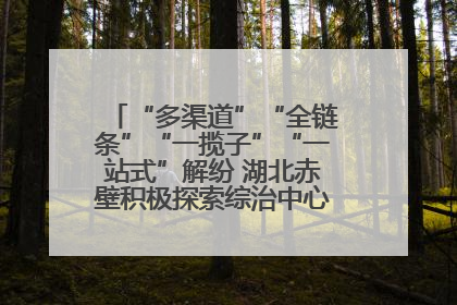 “多渠道”“全链条”“一揽子”“一站式”解纷 湖北赤壁积极探索综治中心规范化建设新路子
