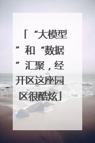 “大模型”和“数据”汇聚，经开区这座园区很酷炫