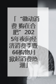 “徽动消费 购在合肥”2025年夜间经济消费季暨66购物月掀起消费热潮