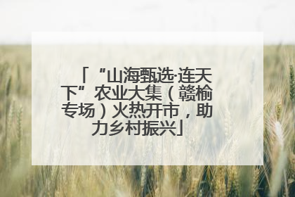 “山海甄选·连天下”农业大集（赣榆专场）火热开市，助力乡村振兴