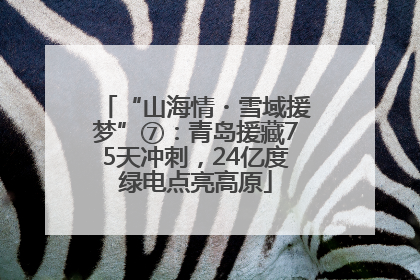 “山海情・雪域援梦”⑦：青岛援藏75天冲刺，24亿度绿电点亮高原