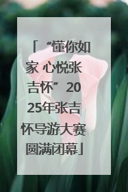 “懂你如家 心悦张吉怀”2025年张吉怀导游大赛圆满闭幕