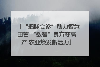 “把脉会诊”助力智慧田管 “数智”良方夺高产 农业焕发新活力
