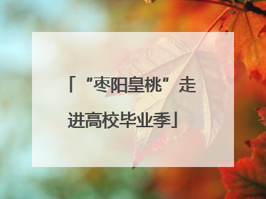“枣阳皇桃”走进高校毕业季