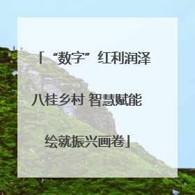 “数字”红利润泽八桂乡村 智慧赋能绘就振兴画卷