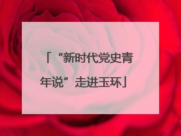 “新时代党史青年说”走进玉环