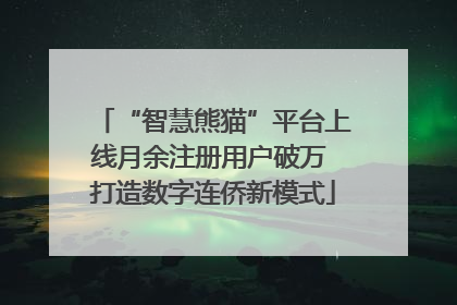 “智慧熊猫”平台上线月余注册用户破万 打造数字连侨新模式