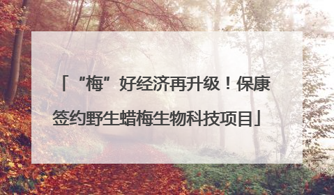 “梅”好经济再升级！保康签约野生蜡梅生物科技项目
