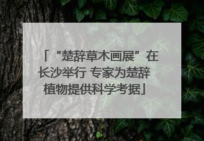 “楚辞草木画展”在长沙举行 专家为楚辞植物提供科学考据