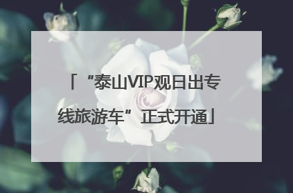 “泰山VIP观日出专线旅游车”正式开通