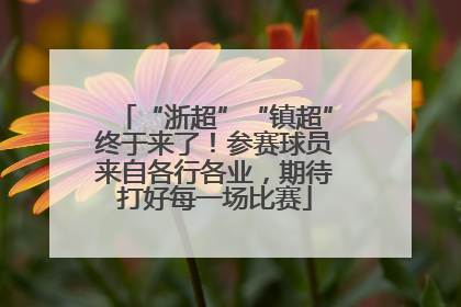 “浙超”“镇超”终于来了！参赛球员来自各行各业，期待打好每一场比赛