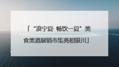 “浪宁夏· 畅饮一夏”美食美酒展销市集亮相银川