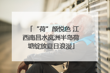 “荷”颜悦色 江西南昌水岚洲半岛荷塘绽放夏日浪漫