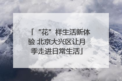 “花”样生活新体验 北京大兴区让月季走进日常生活