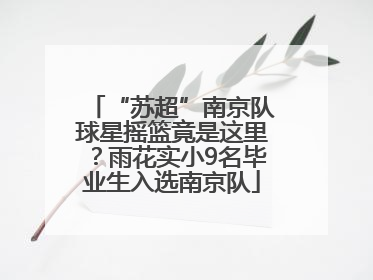 “苏超”南京队球星摇篮竟是这里？雨花实小9名毕业生入选南京队