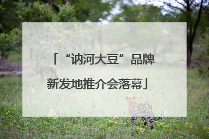 “讷河大豆”品牌新发地推介会落幕